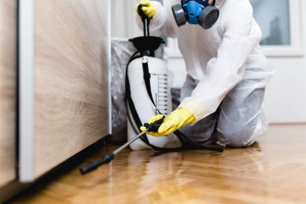 Best Bed Bug Extermination  in Wtell, LA