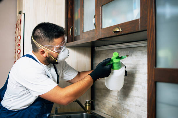 Reliable Lawtell, LA Pest Control Solutions