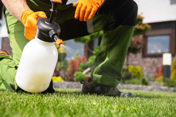 Best Affordable Pest Control Services  in Wtell, LA