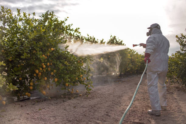 Best Commercial Pest Control Services  in Wtell, LA
