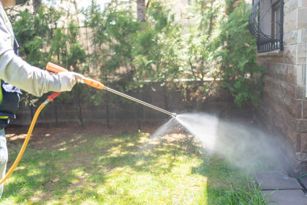 Best Pest Removal Services  in Wtell, LA