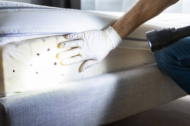 Best Best Pest Control Companies  in Wtell, LA
