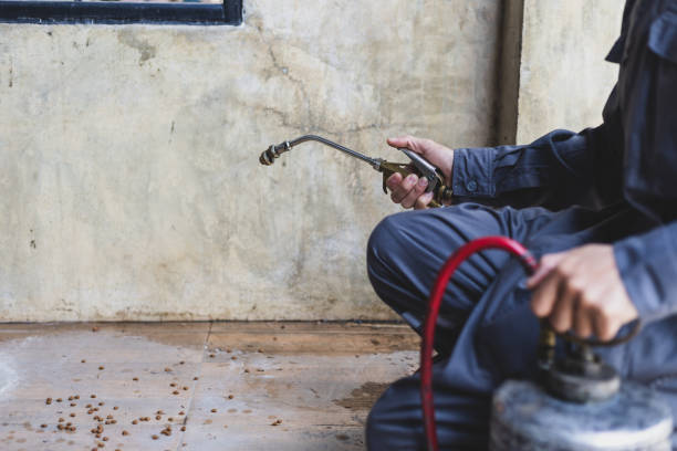 Best Pest Removal Services  in Wtell, LA
